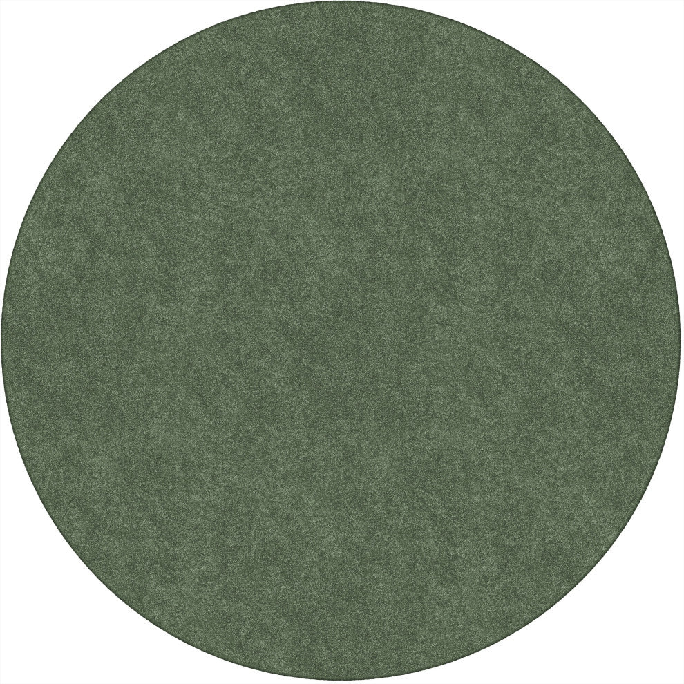 Flagship Carpets TS-27SG Amerisoft Sage Green
