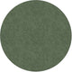 Flagship Carpets TS-27SG Amerisoft Sage Green