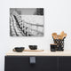 Endless Fence Rural Black & White Landscape Photo Canvas Wall Art Print, 16" X 20"