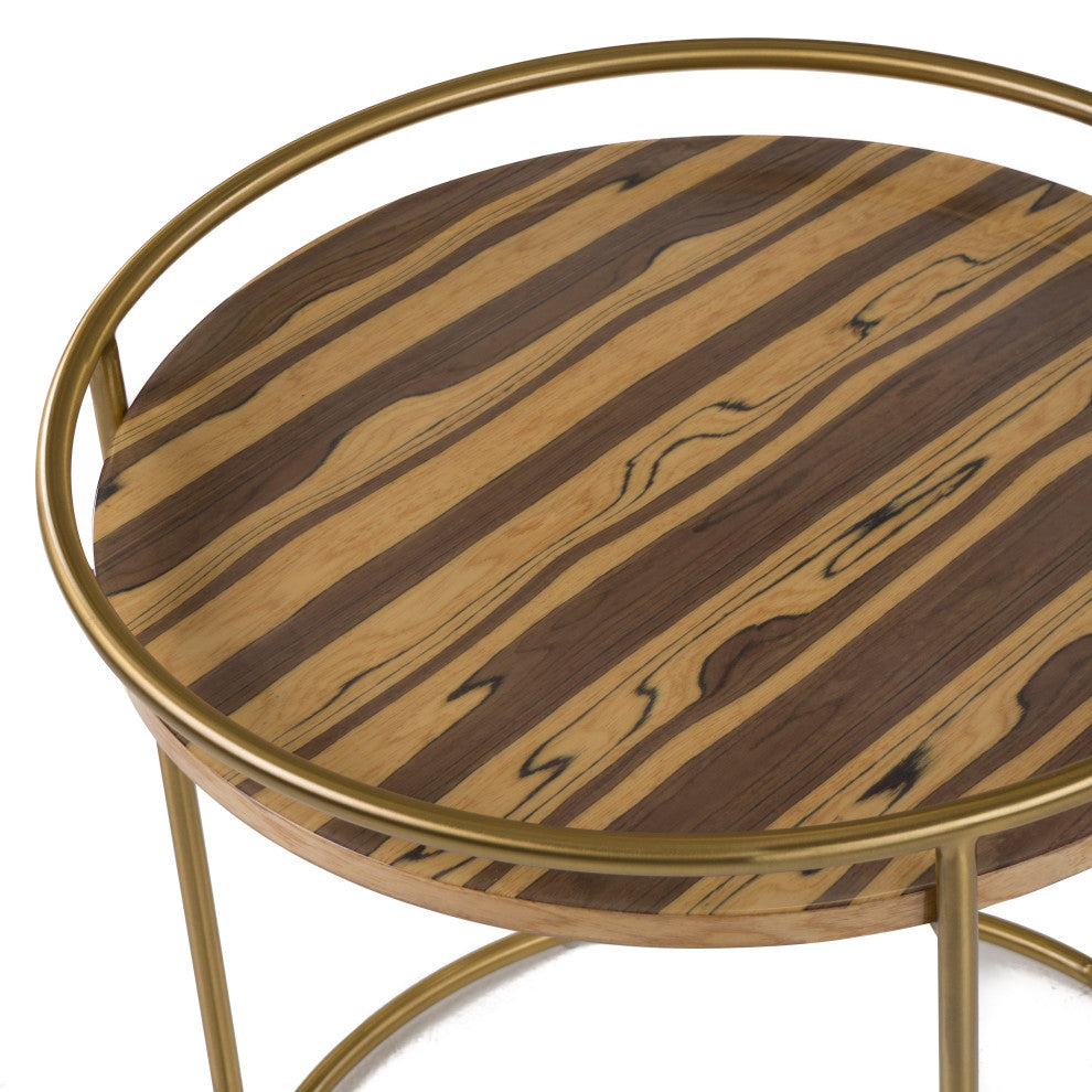 Modrest Gilcrest Glam Brown and Gold Marble End Table
