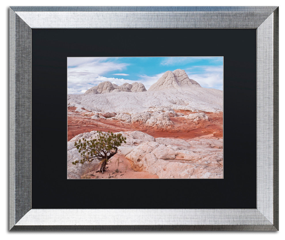Michael Blanchette 'Tree on Brain Rocks' Art, Silver Frame, Black Mat, 20x16