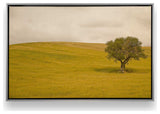 "Tuscan Fields' Charm" - A Touch of Italian Rusticity for Elegant Interiors