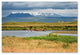 Philippe Sainte-Laudy 'Wild Horses' Canvas Art