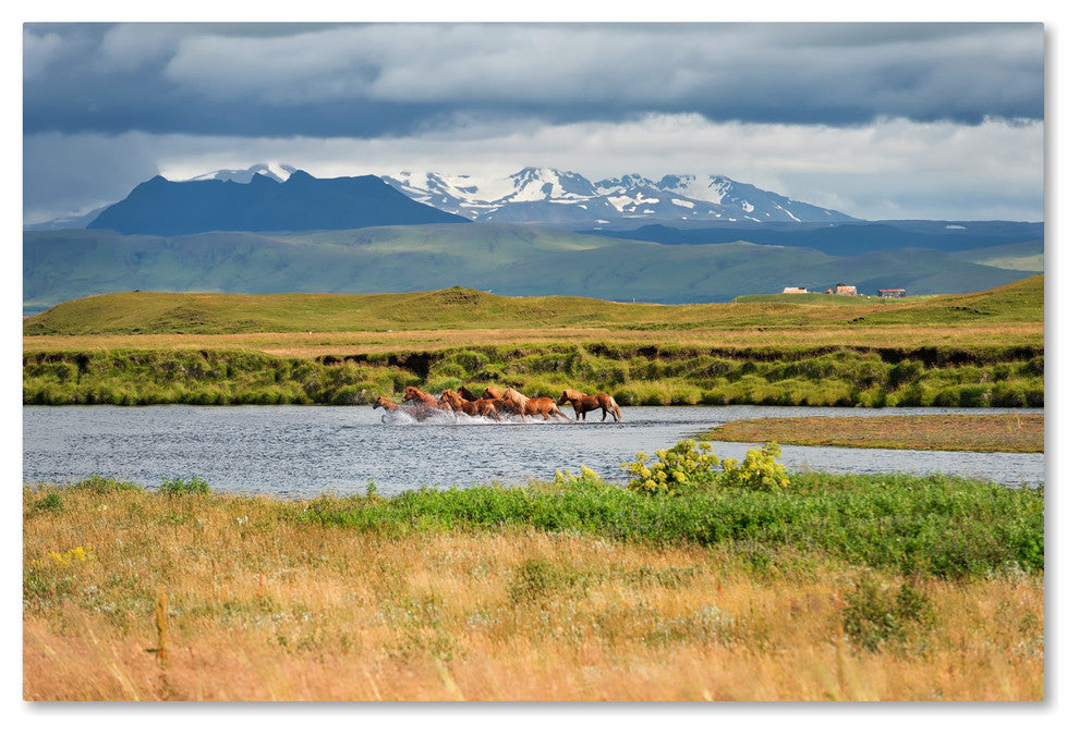 Philippe Sainte-Laudy 'Wild Horses' Canvas Art