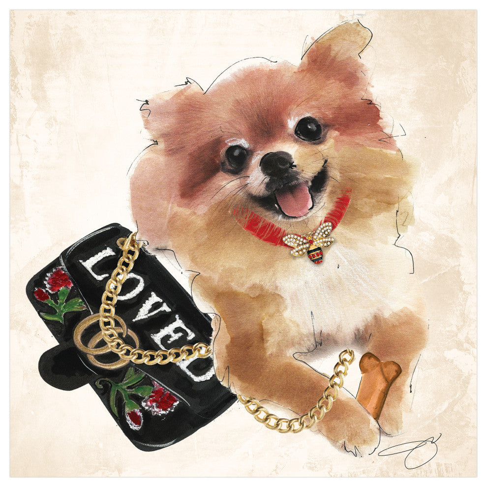 "Pomeranian" Dog Wall Art Print Frameless Free Floating Tempered Glass Panel