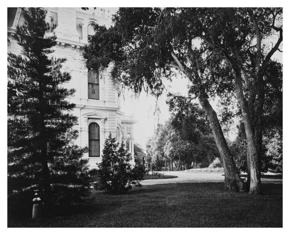 "Thurlow Lodge - Lawn and House. From Barron Cluster" Paper Art, 26"x22"