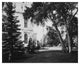 "Thurlow Lodge - Lawn and House. From Barron Cluster" Paper Art, 26"x22"