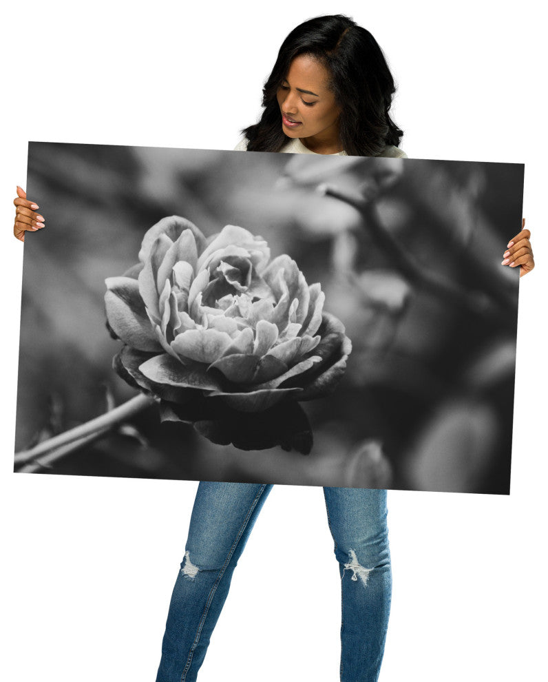 Perfect Petals High Contrast Black and White Floral Unframed Wall Art Print, 24" X 36"