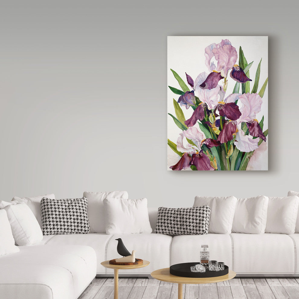 Joanne Porter ''Pink Maroon Iris'' Canvas Art, 32"x24"