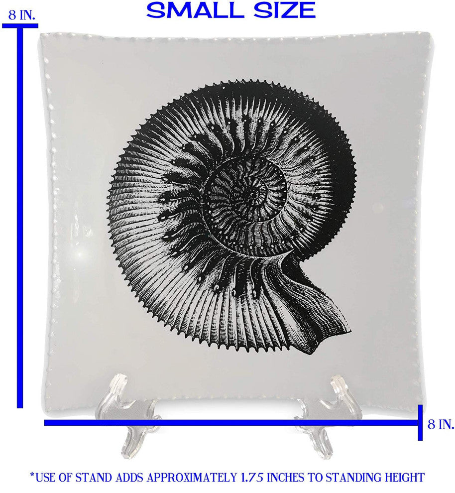 Decorative Tray with Display Stand with Nautilus Shell in Black & White, Medium