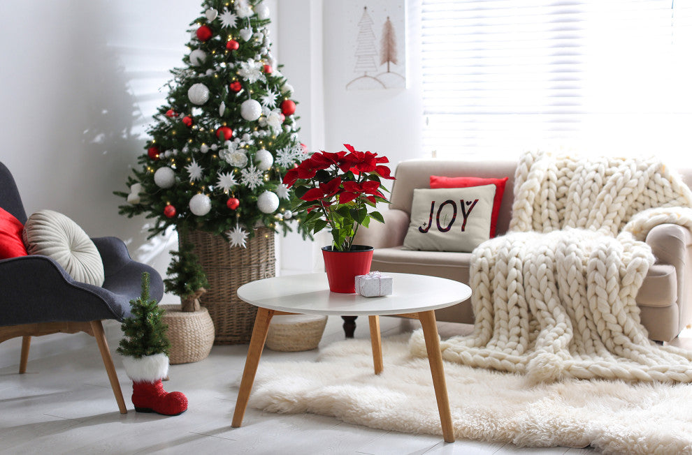 Plum Colored Joy Filled Season Christmas Polyester Throw Pillow, 16"x16"