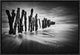 "Timber Graffiti" Framed Canvas Giclee by Sobul, 19x13"