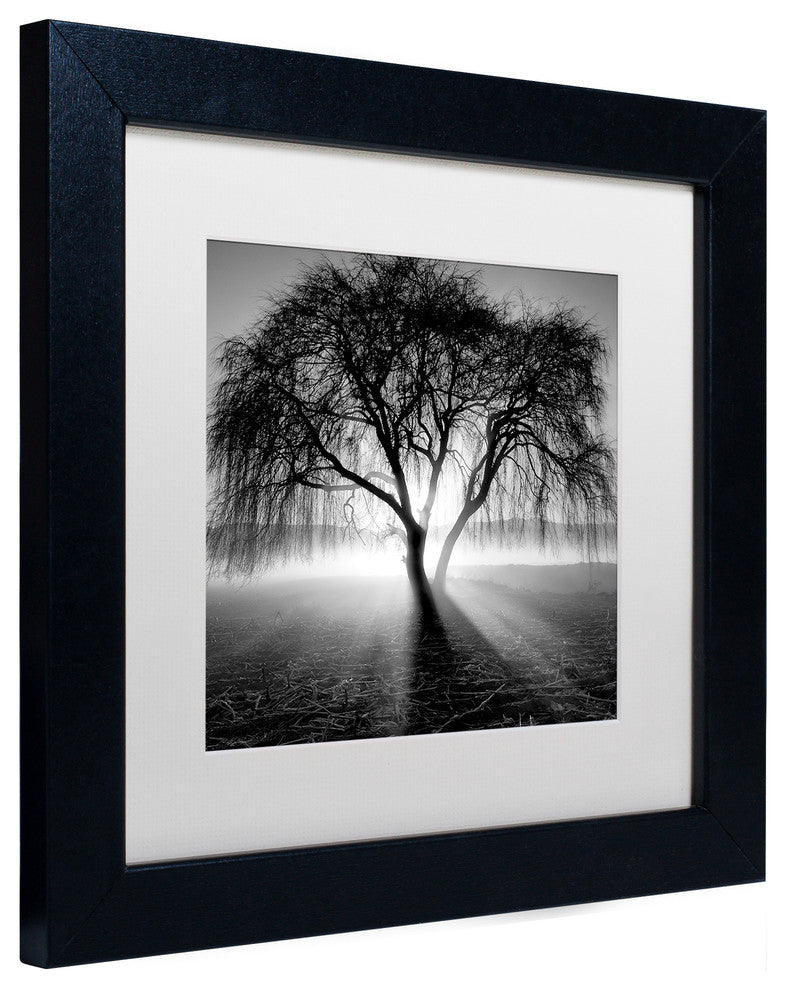 "Lightning Tree I" Matted Framed Canvas Art by Moises Levy