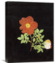 "Cut Out Watercolour of a Flower" Canvas Giclee by Margaret Nash, 17"x22"