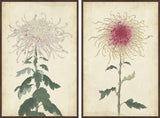 Spaghetti Blooms Diptych, 80x60