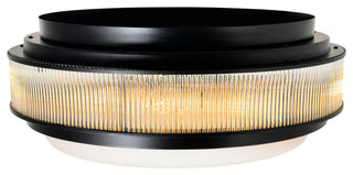 Valdivia 4 Light Black Flush Mount