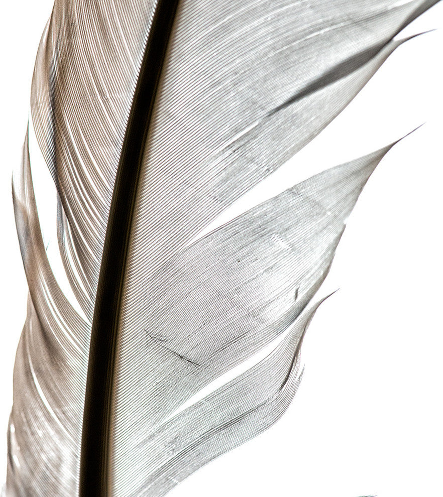 "Light As A, Two" Metal, 30"x30"
