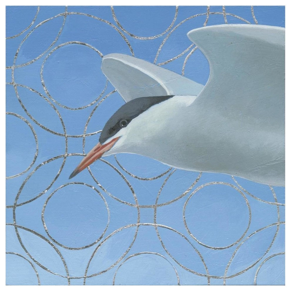 "Common Tern" Digital Paper Print by Kathrine Lovell, 32"x32"