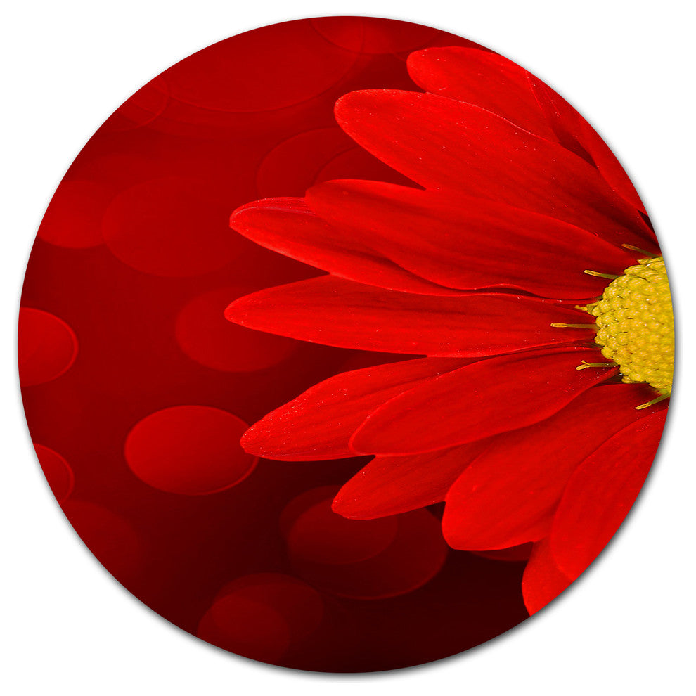 Red Flower With Lit-Up Background, Floral Large Disc Metal Artwork, 23"