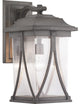 Abbott Collection 1-Light Large Wall Lantern, Antique Pewter