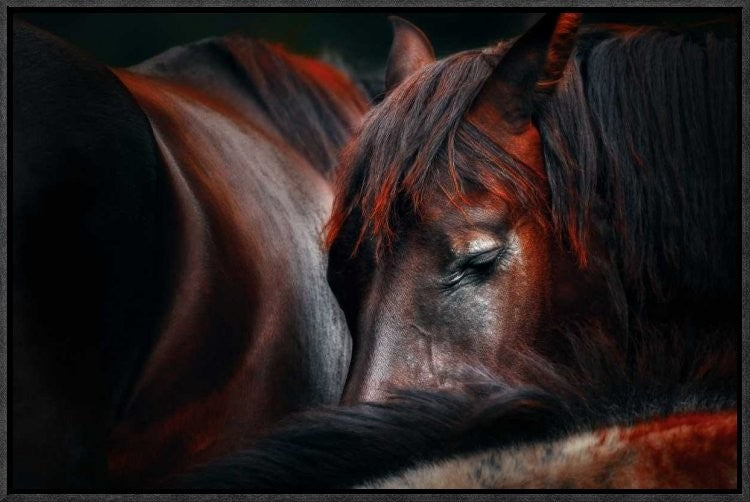 "Sleep Huddle" Framed Canvas Giclee by Martin Stantchev, 23x15"