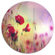 Beautiful Poppy Flower Garden, Floral Round Metal Wall Art, 11"