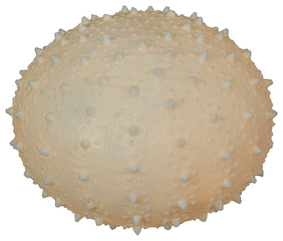 8.5" Resin LED Sea Urchin Accent Lamp - Nautical Decor