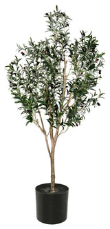 6' Green Potted Olive Tree