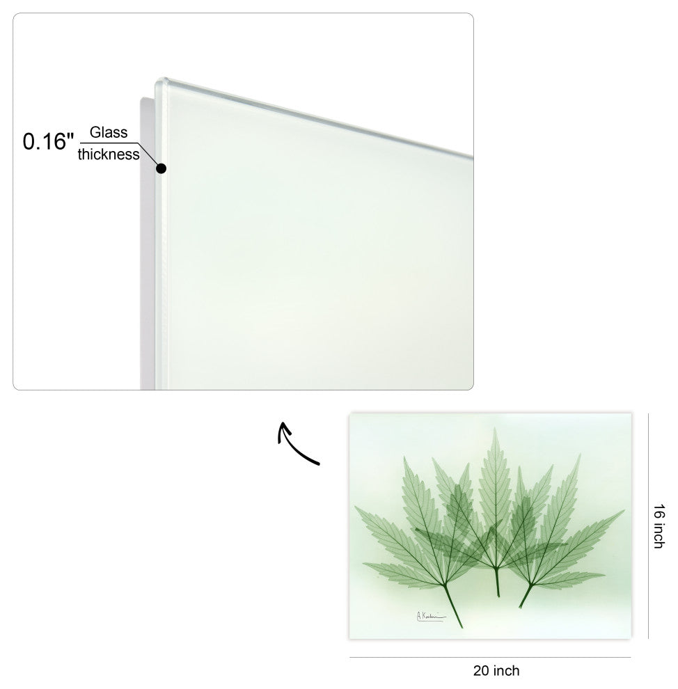"Green Flower" Frameless Free Floating Panel Graphic Wall Art, 16"x20"
