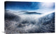 "Good Morning, Loose" Stretched Canvas Giclee by Markxing, 22x15"
