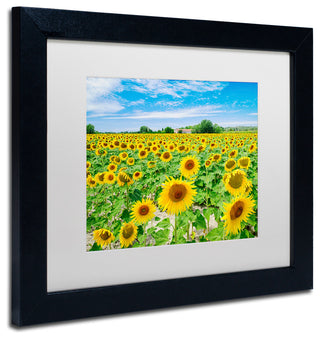 Blanchette Photography 'Field of Yellow', Black Frame, White Matte, 14"x11"
