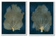 Modern Sea Fan Composition Blue Gold Ocean Plant,2pc, each 16 x 20