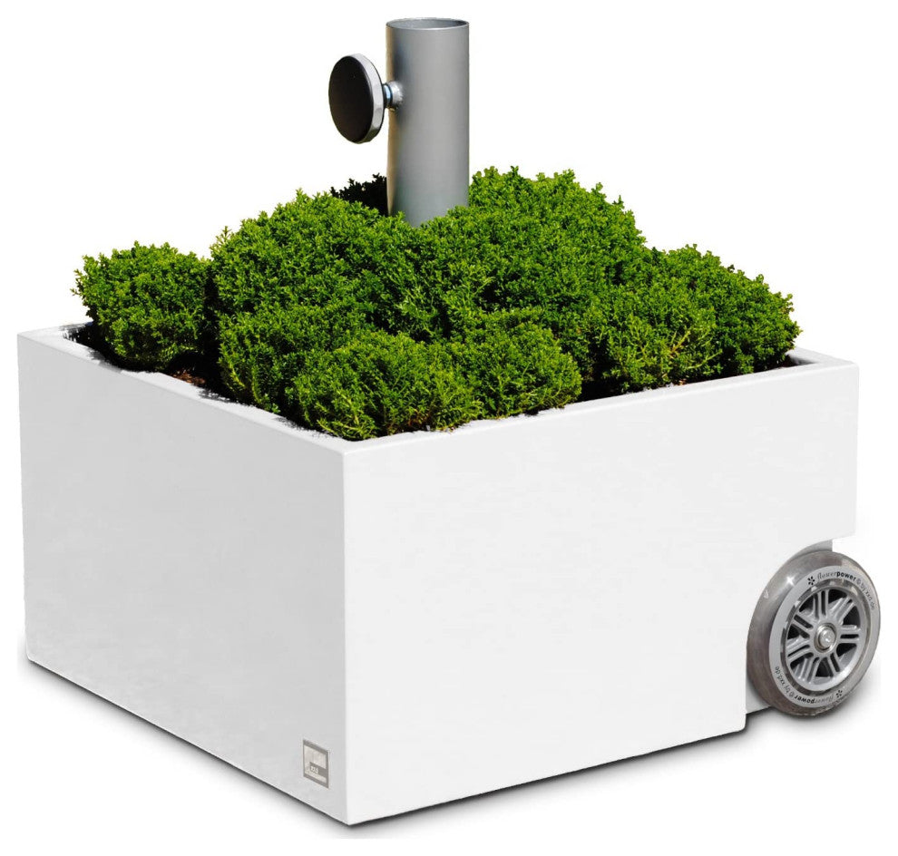 XXD''s (#O-810) Zinc Plated White Powercoated Planter & Umbrella Stand
