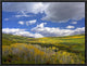 "Gunnison National Forest in fall, Colorado"  by Tim Fitzharris, 17x13"