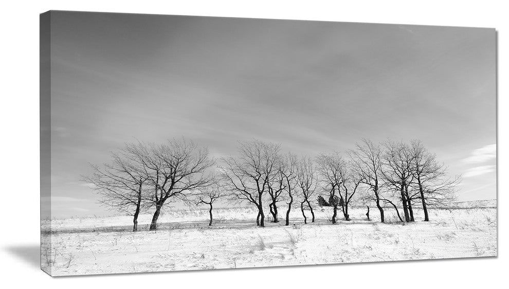 Black and White Trees in Winter, Landscape Canvas Art Print, 40x20