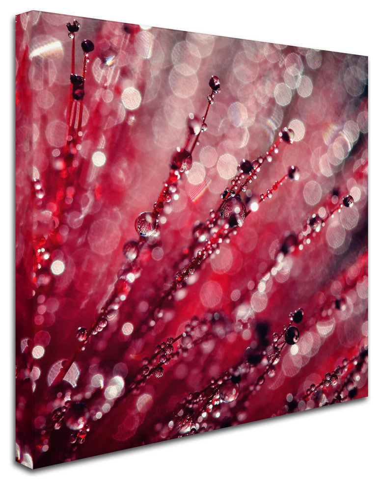Beata Czyzowska Young 'Red Melody' Canvas Art, 18"x18"