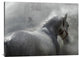 "Gramy" Stretched Canvas Giclee by Milan Malovrh, 40x30"