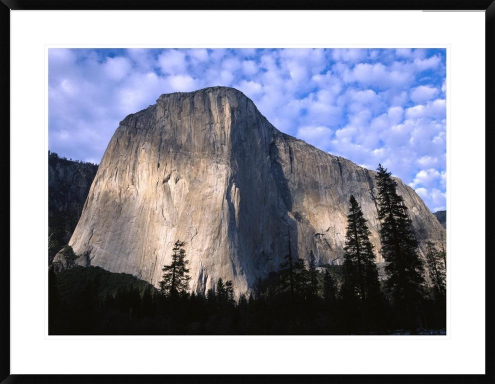 El Capitan Rising Over The Forest, Yosemite National Park, California, 38"x30"