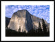 El Capitan Rising Over The Forest, Yosemite National Park, California, 38"x30"