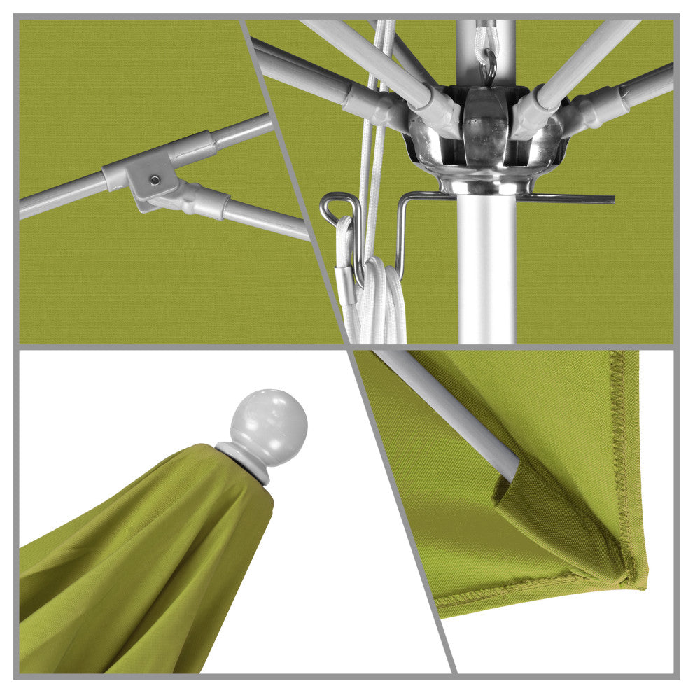 California Umbrella Venture Series, Ginkgo