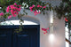 Ascoli, 2-Light Outdoor Sconce, Stainless Steel Finish, Clear Shade