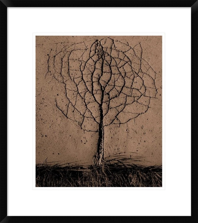 "Asphalt Tree" Framed Digital Print by Rasto Gallo, 21x24"