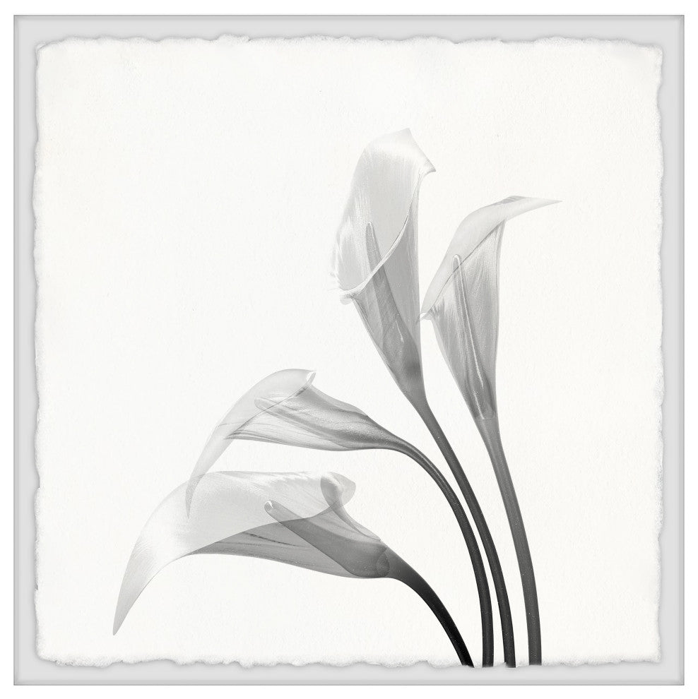 "Flower From the Sky" Framed Painting Print, 32x32