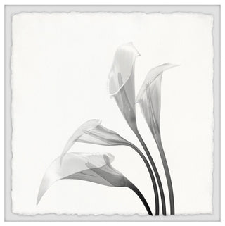 "Flower From the Sky" Framed Painting Print, 32x32