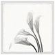 "Flower From the Sky" Framed Painting Print, 32x32