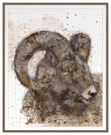 Bighorn Sheep 2 Fine Art Print, Walnut, 30"x24"