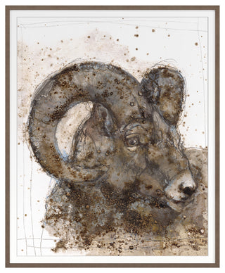 Bighorn Sheep 2 Fine Art Print, Walnut, 30"x24"