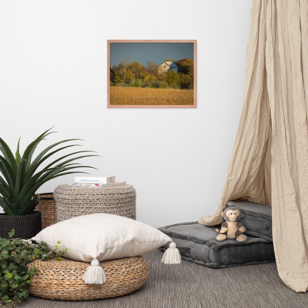 Abandoned Barn In The Trees Framed Photo Paper Wall Art Prints, Red Oak, 18" X 24"