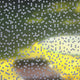 Honeycomb Sheer Window Film, Large 48"x84"