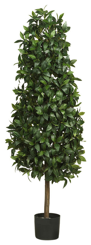 5' Sweet Bay Pyramid Silk Tree